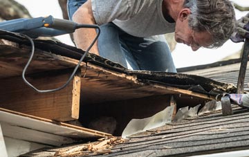 common causes of Campsea Ashe fascia damage