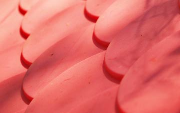 Campsea Ashe plastic roof costs